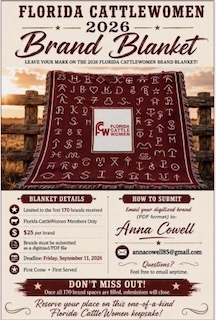 Brand Blanket